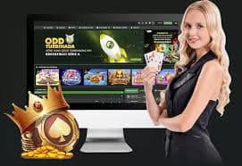 6pg88 Live Casino